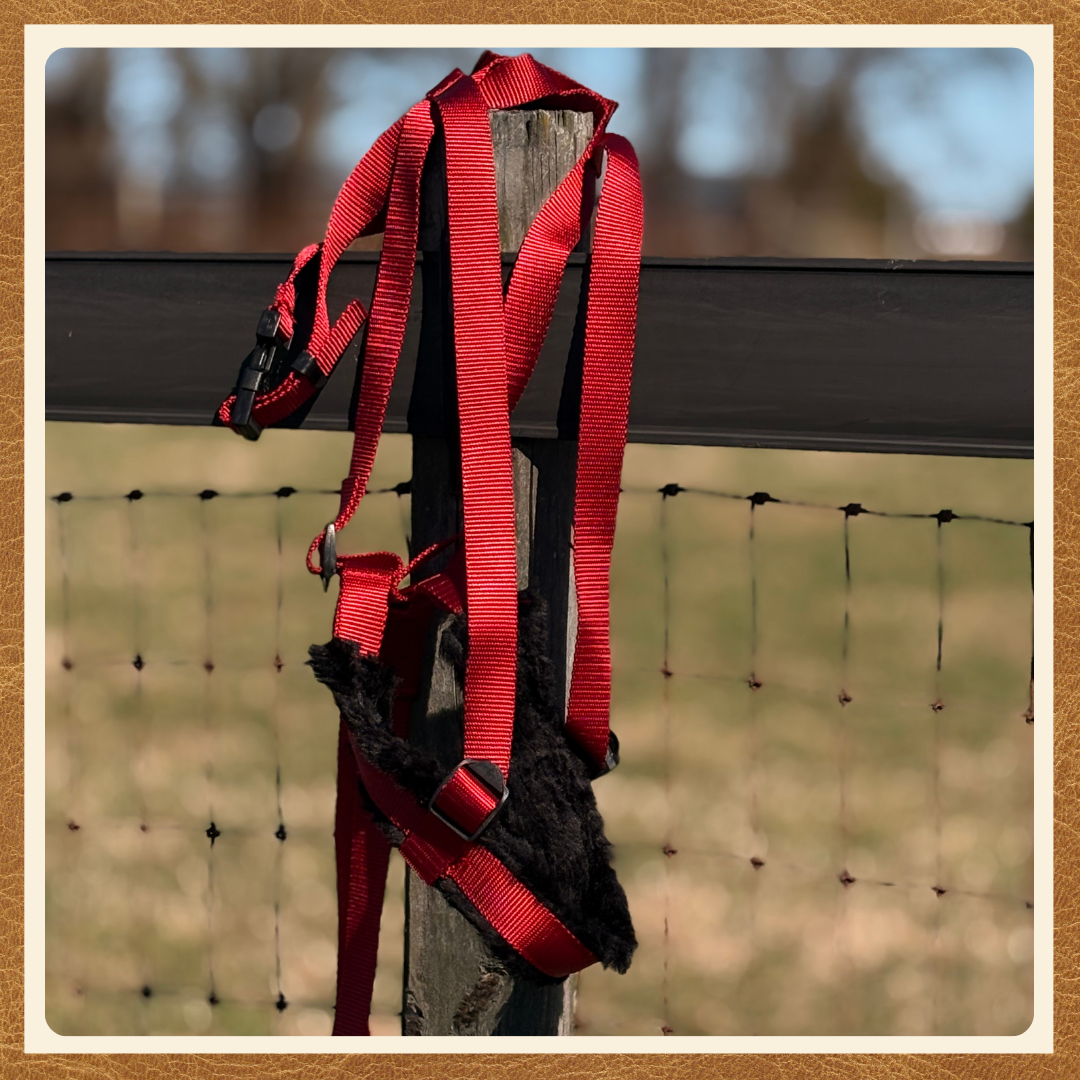 Breeching Strap for Siwash Harness