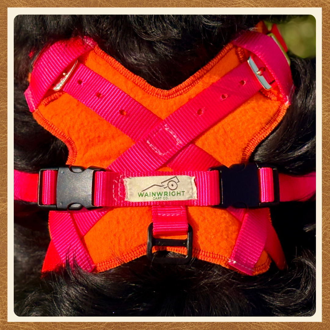 Adjustable Siwash Harness