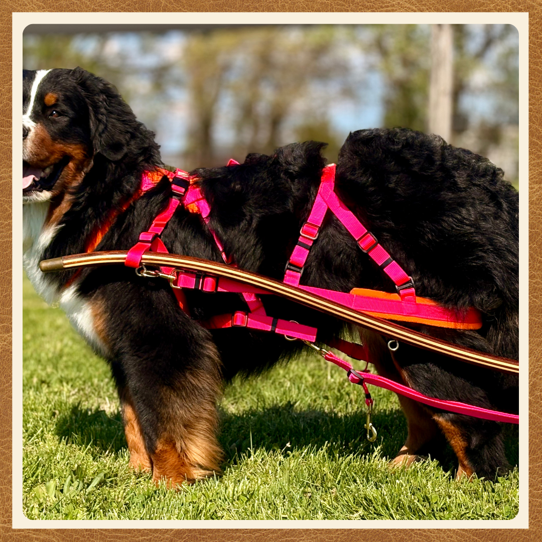 Breeching Strap for Adjustable Siwash Harness