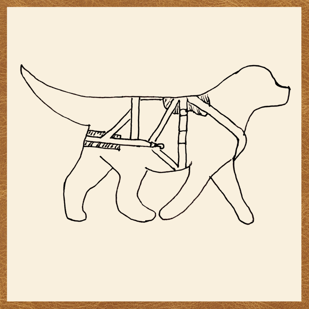 BUNDLE - Adjustable Siwash Harness and Breeching Strap