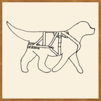 BUNDLE - Adjustable Siwash Harness and Breeching Strap