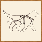 BUNDLE - Adjustable Siwash Harness and Breeching Strap
