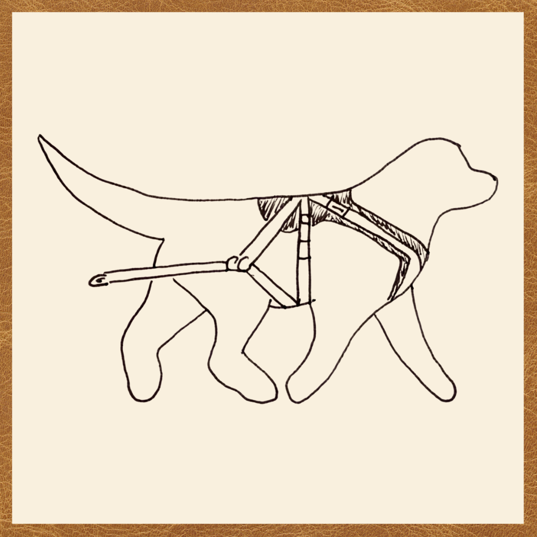 BUNDLE - Adjustable Siwash Harness and Breeching Strap