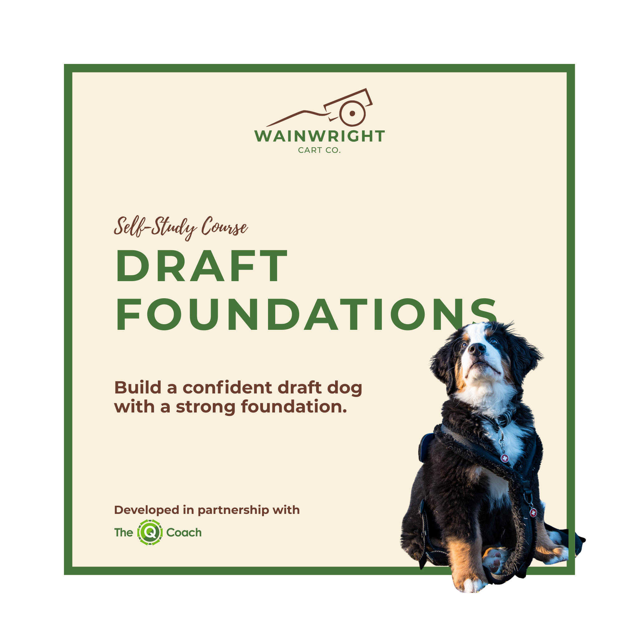 Draft Foundations Course (Self-Paced)