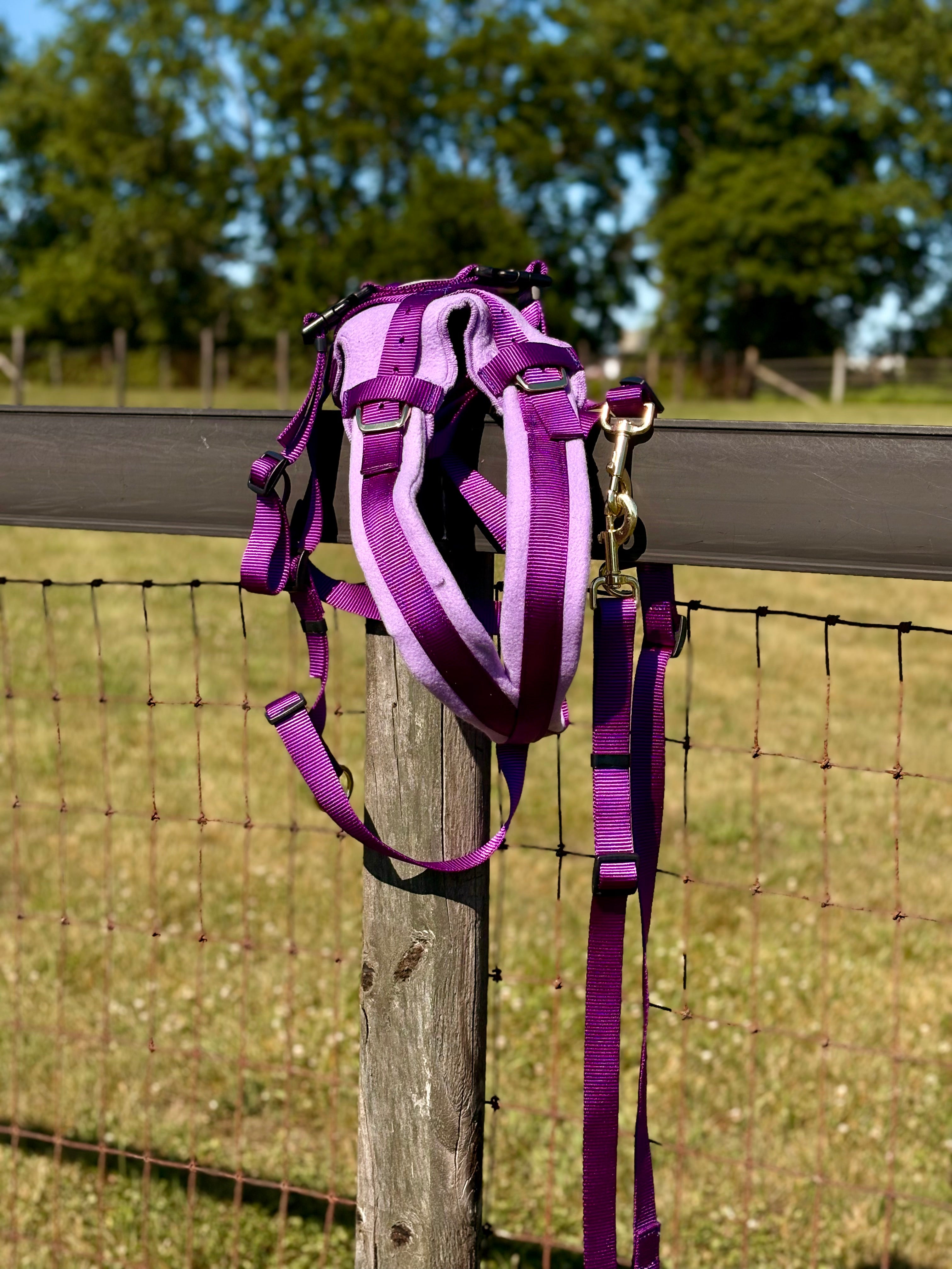 Shelf: Adjustable Siwash Harness
