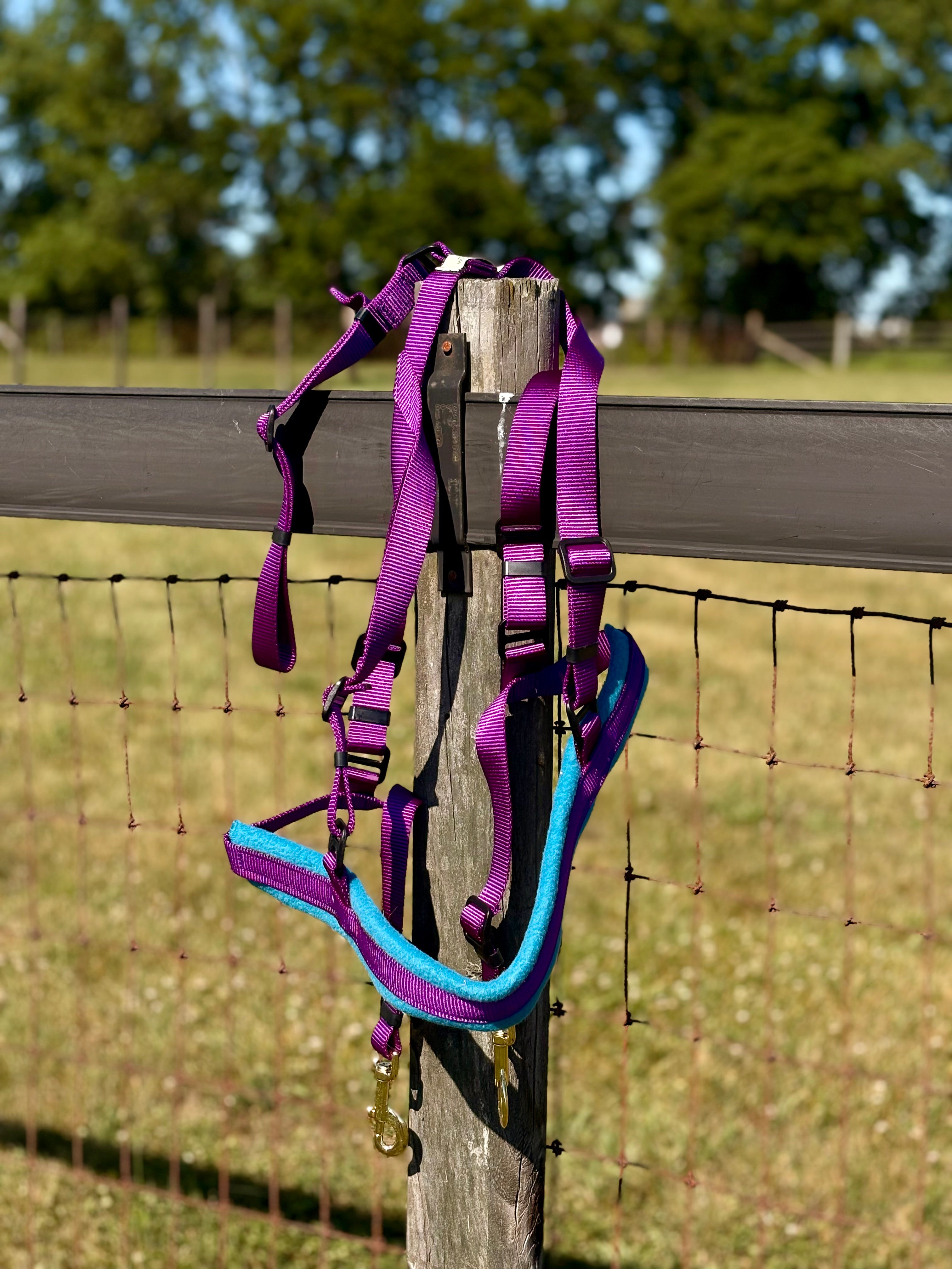 Shelf: Breeching for Adjustable Siwash Harness - Purple/Turquoise