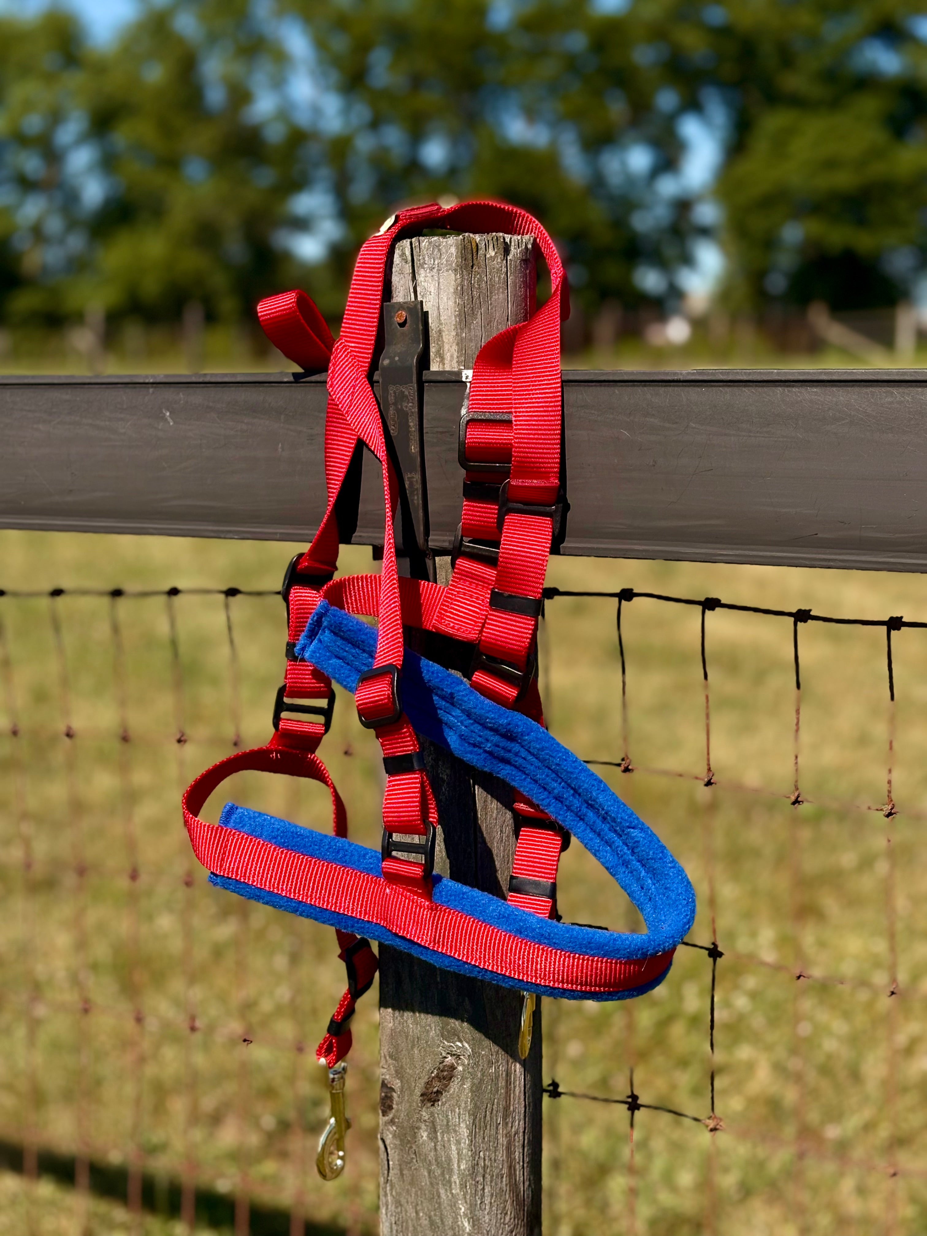 Shelf: Breeching for Adjustable Siwash Harness - Red/Royal