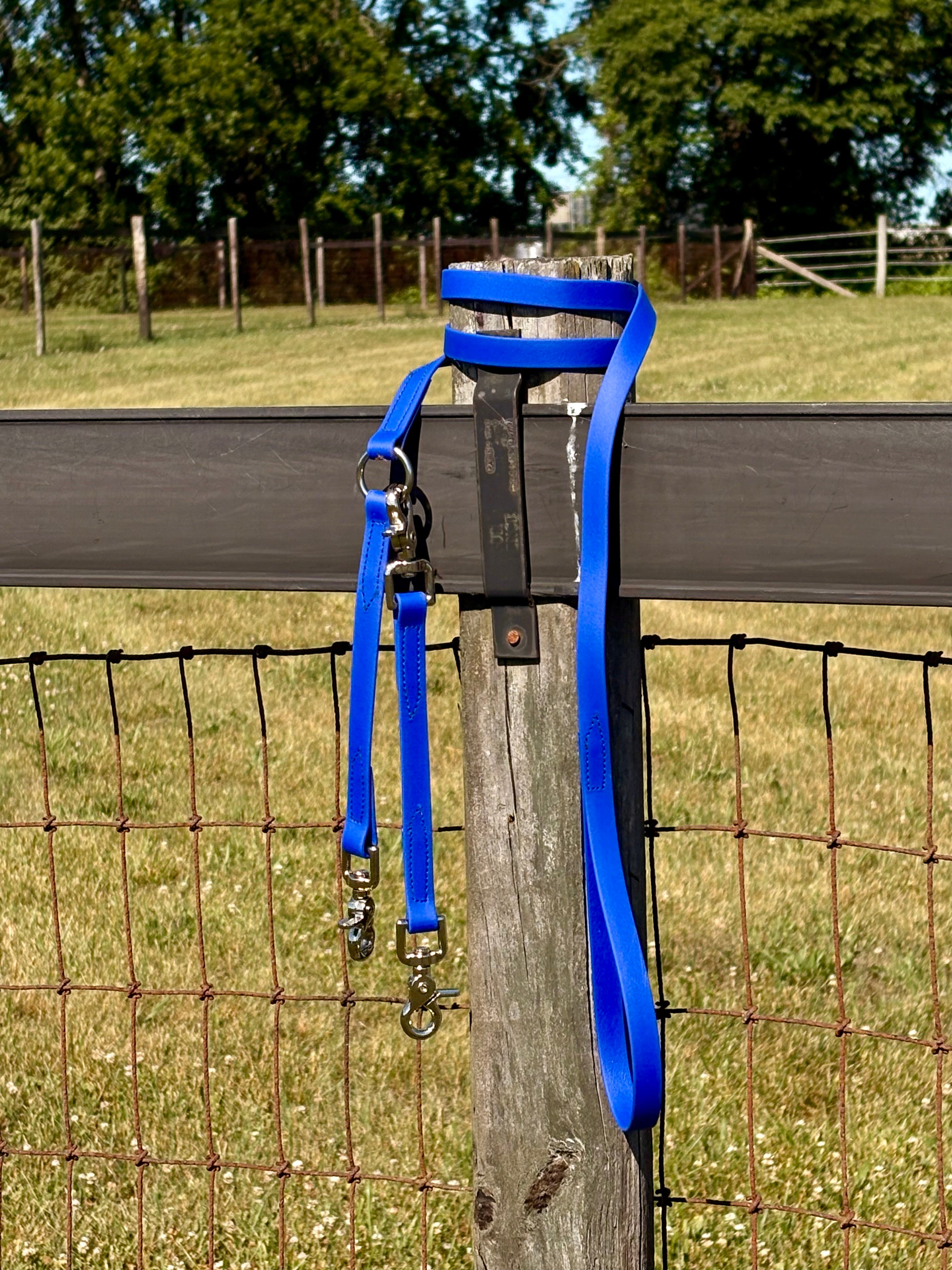 Shelf: Convertible Brace Leash