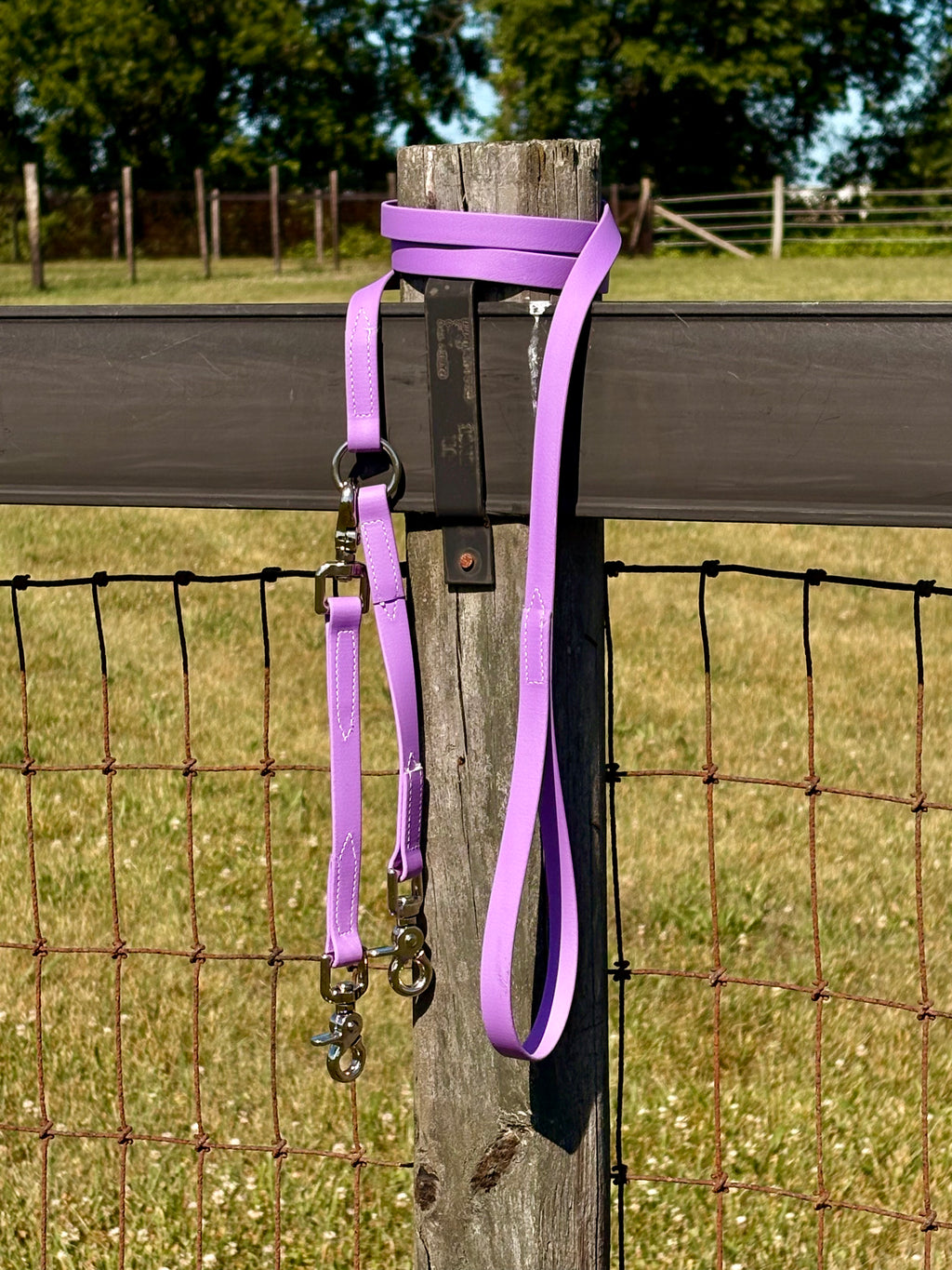 Shelf: Convertible Brace Leash