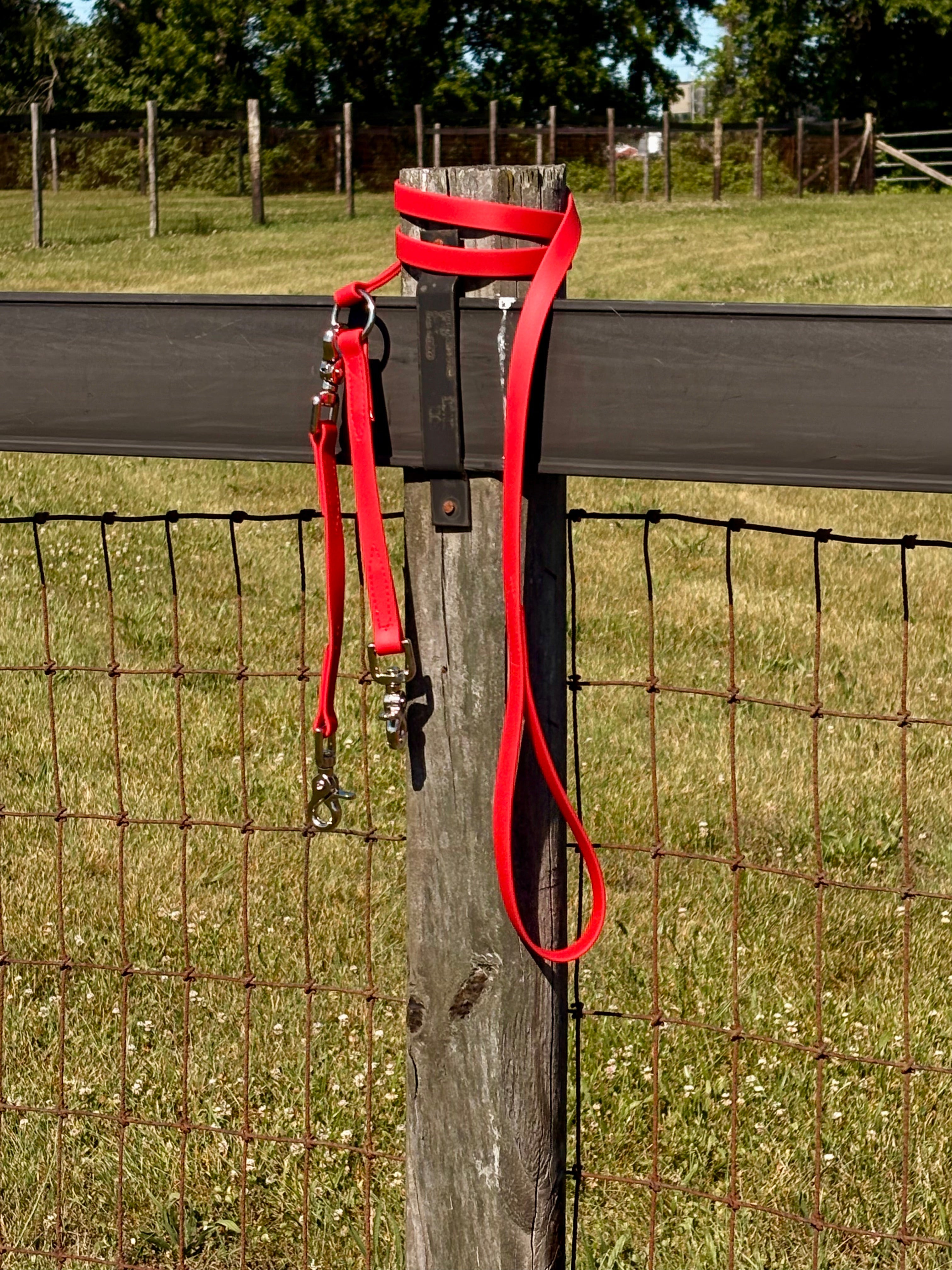 Shelf: Convertible Brace Leash