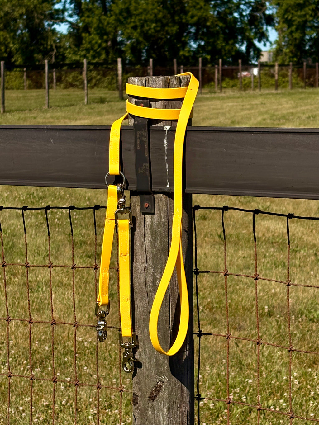 Shelf: Convertible Brace Leash