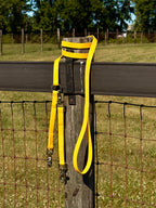 Shelf: Convertible Brace Leash
