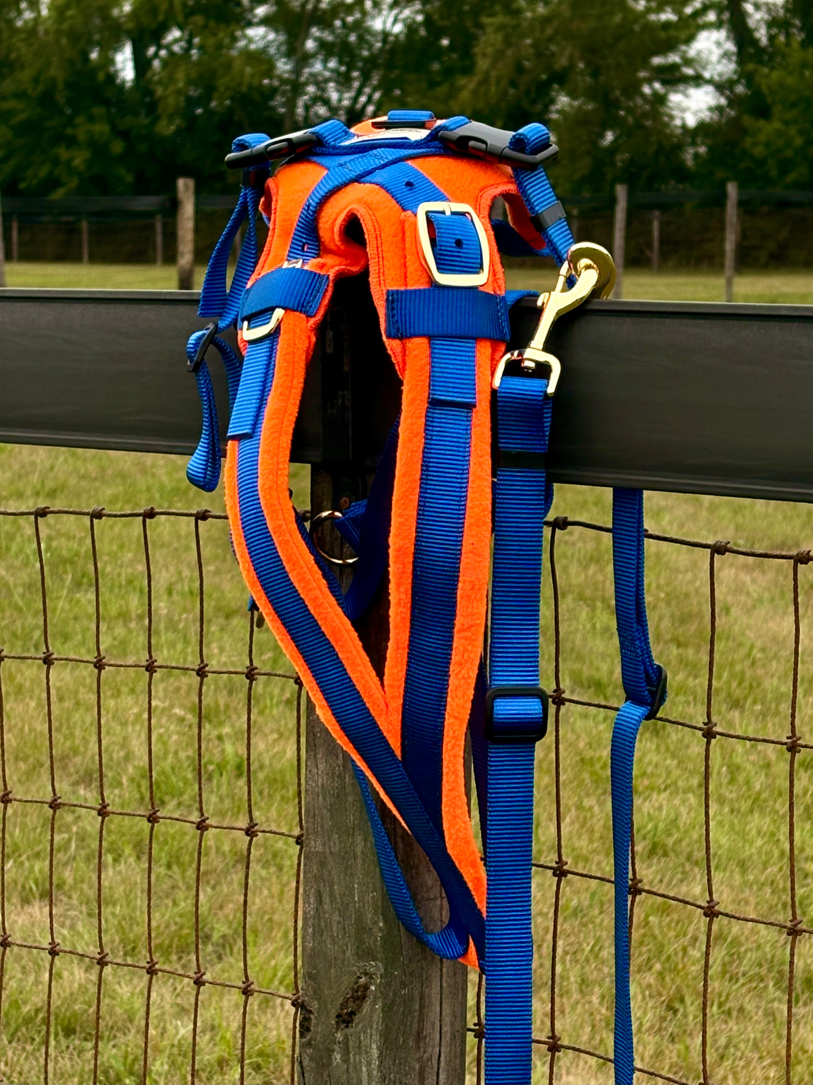 Shelf: Adjustable Siwash Harness - Royal-Neon