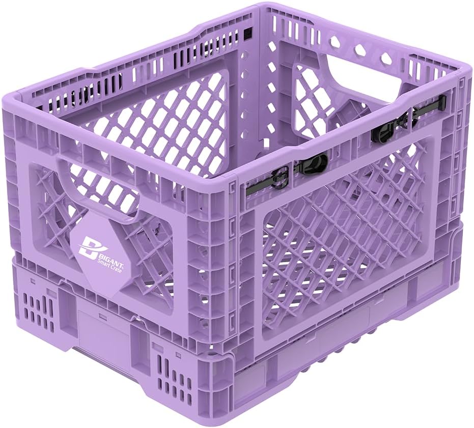 Shelf: Purple Foldable Crate