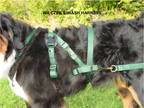 Classic Siwash Harness