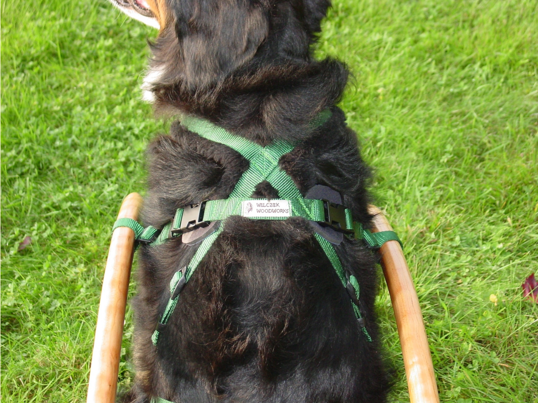 Siwash-Style Harness