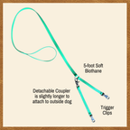 Convertible Brace Leash
