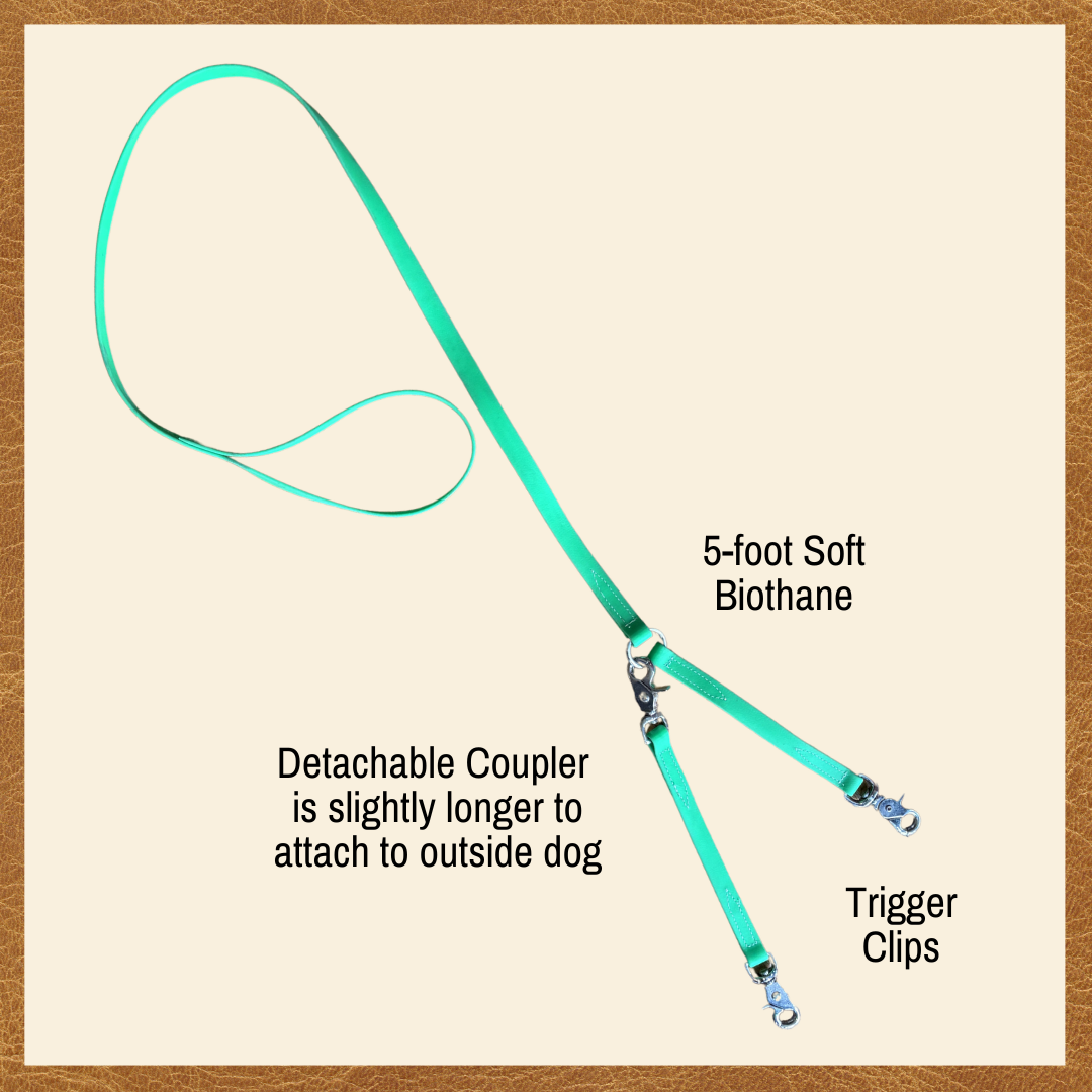 Convertible Brace Leash