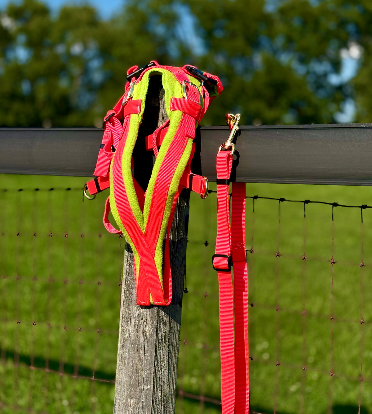 Shelf: Adjustable Siwash Harness - Orange - Lime